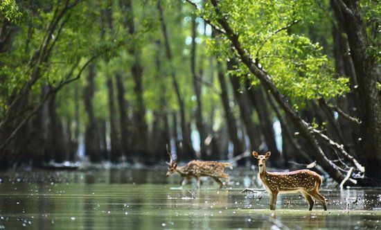 Modern Tourism in India